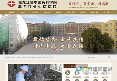 哈尔滨网站开发费用：不同类型网站的价格分析及影响因素