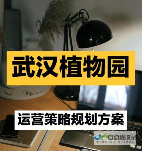 从创意到上线：您的网站建设专家团队